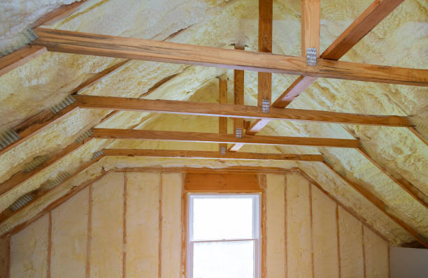 Best Wall Insulation Contractor  in Magee, MS