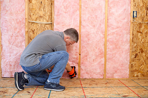 Best Attic Insulation Installation  in Magee, MS