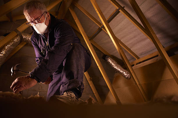 Best Insulation Contractor Near Me  in Magee, MS