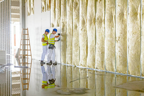 Best Professional Insulation Contractor  in Magee, MS